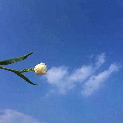 正版兰陵王手游下载
