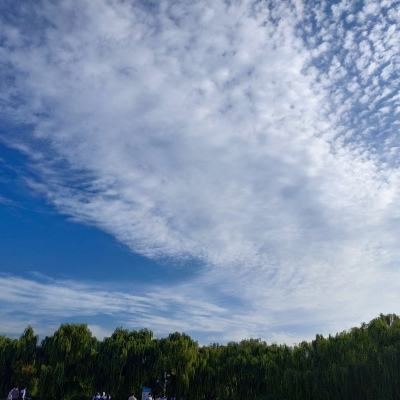 果盘随机点数大师手游下载